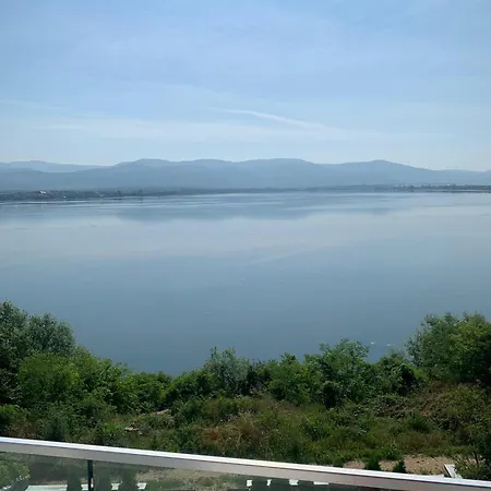 Plavi * Vinci
